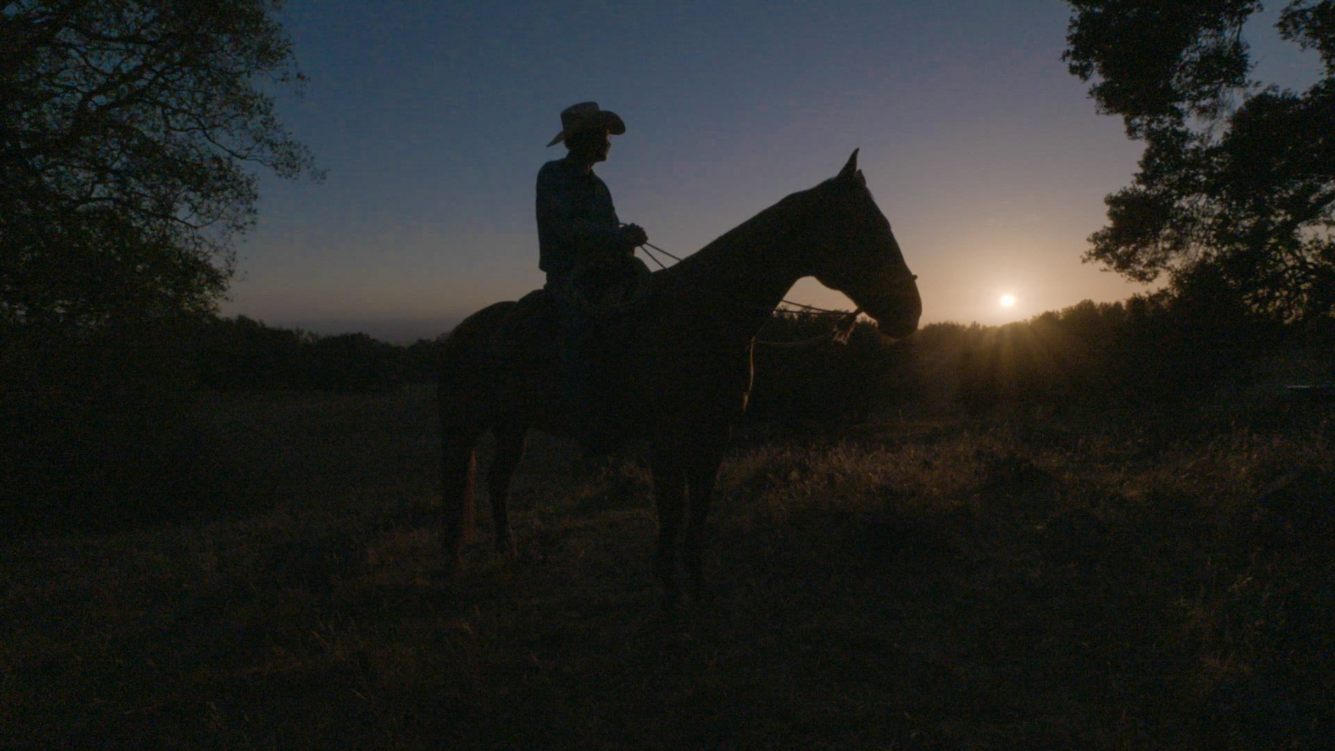 Cowboy Scott Gerber on horseback
